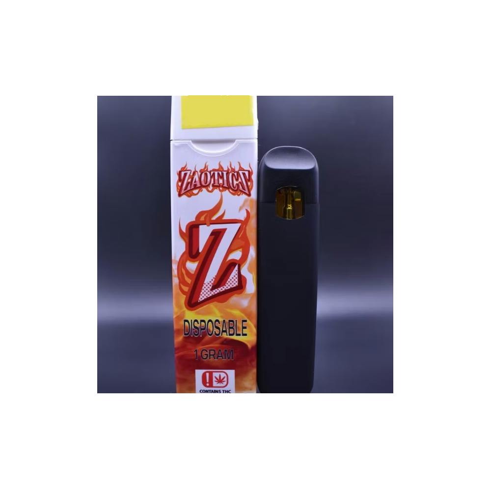Watermelon Slushie | Disposable | 1g
