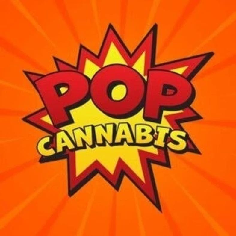 Pop Blueberry Dream Cones 1.25" 6pk | Accessories at Farmer's Cannabis Co.