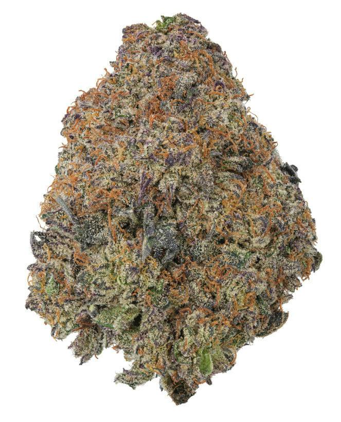 Black Cherry Gelato | 1g