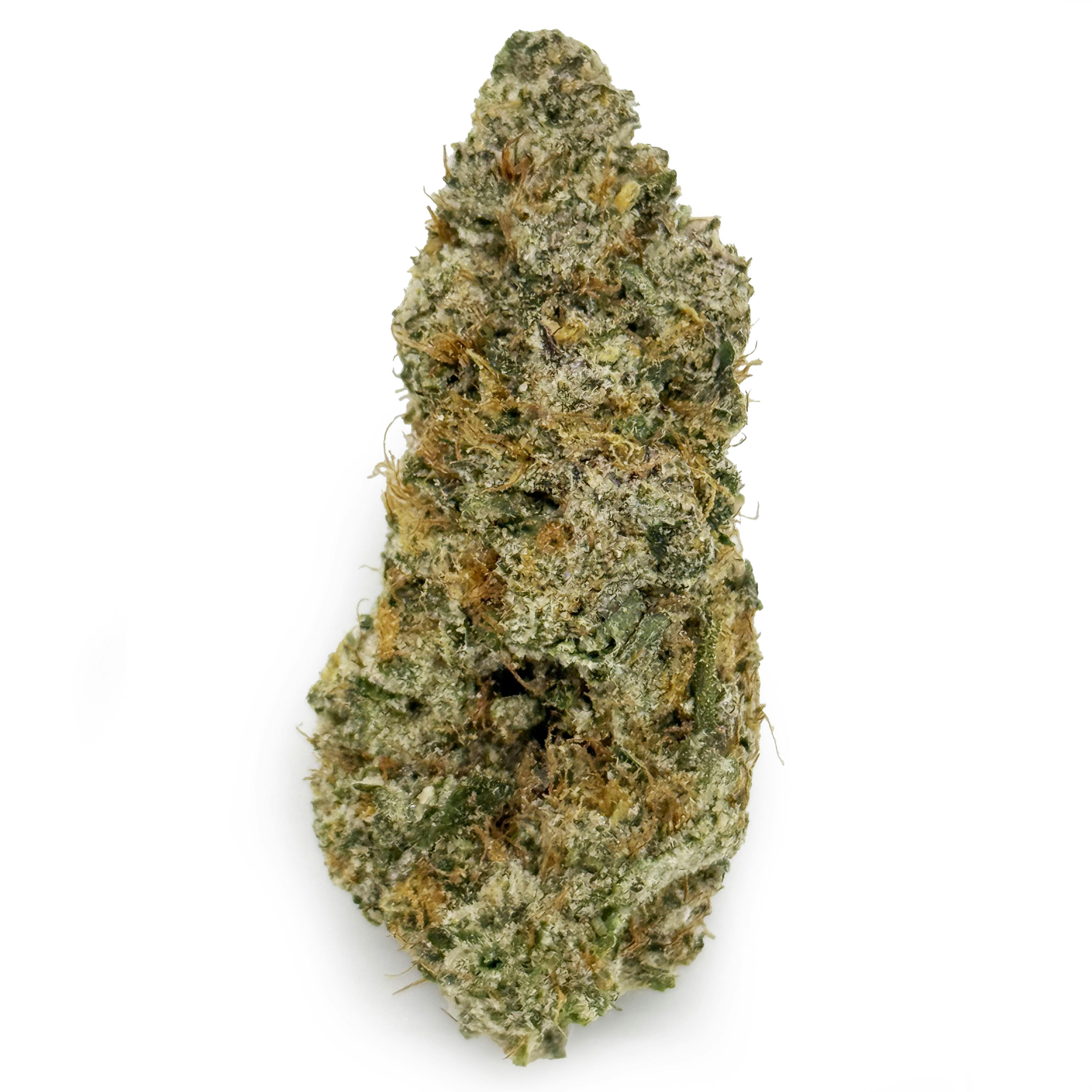 Tropical Mamba | 1g