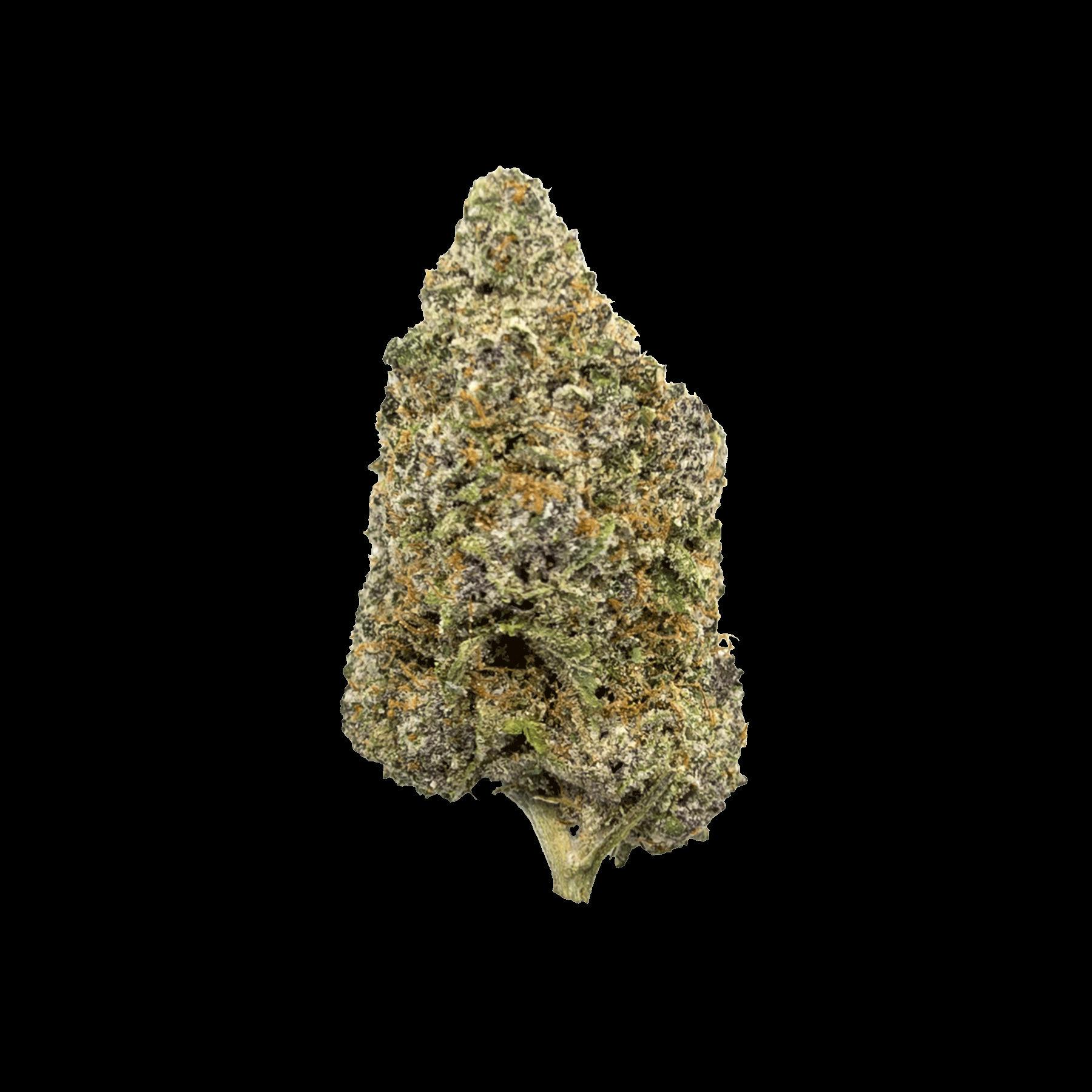 Tropical Mamba | 3.544g