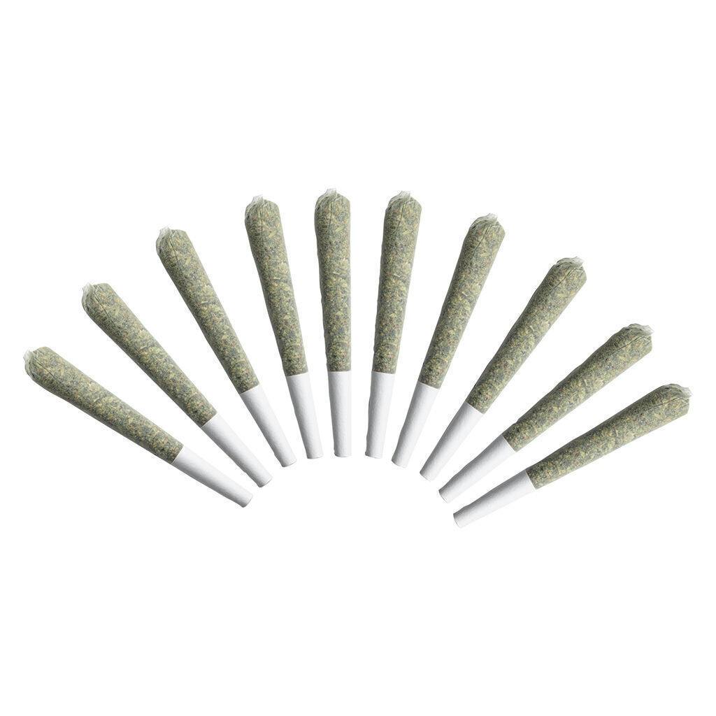 Blue Velvet | Minis | 0.5g | 10pk
