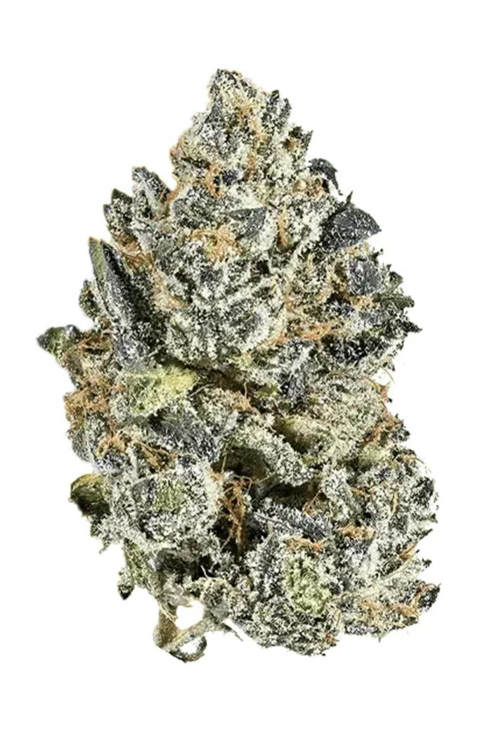 Black Roses | 7g