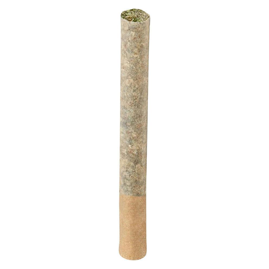 Maple Blizzard | Minis | 0.5g