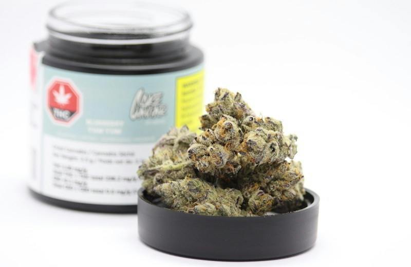 Blueberry Yum Yum | 3.5g