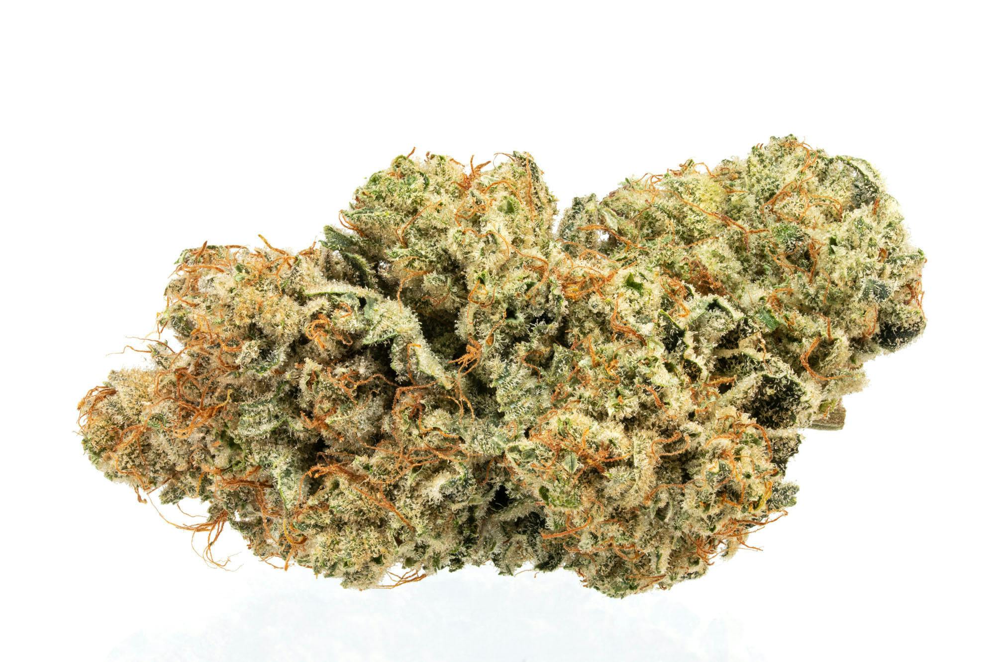 Organic Waffle Bites | Buds | 3.5g