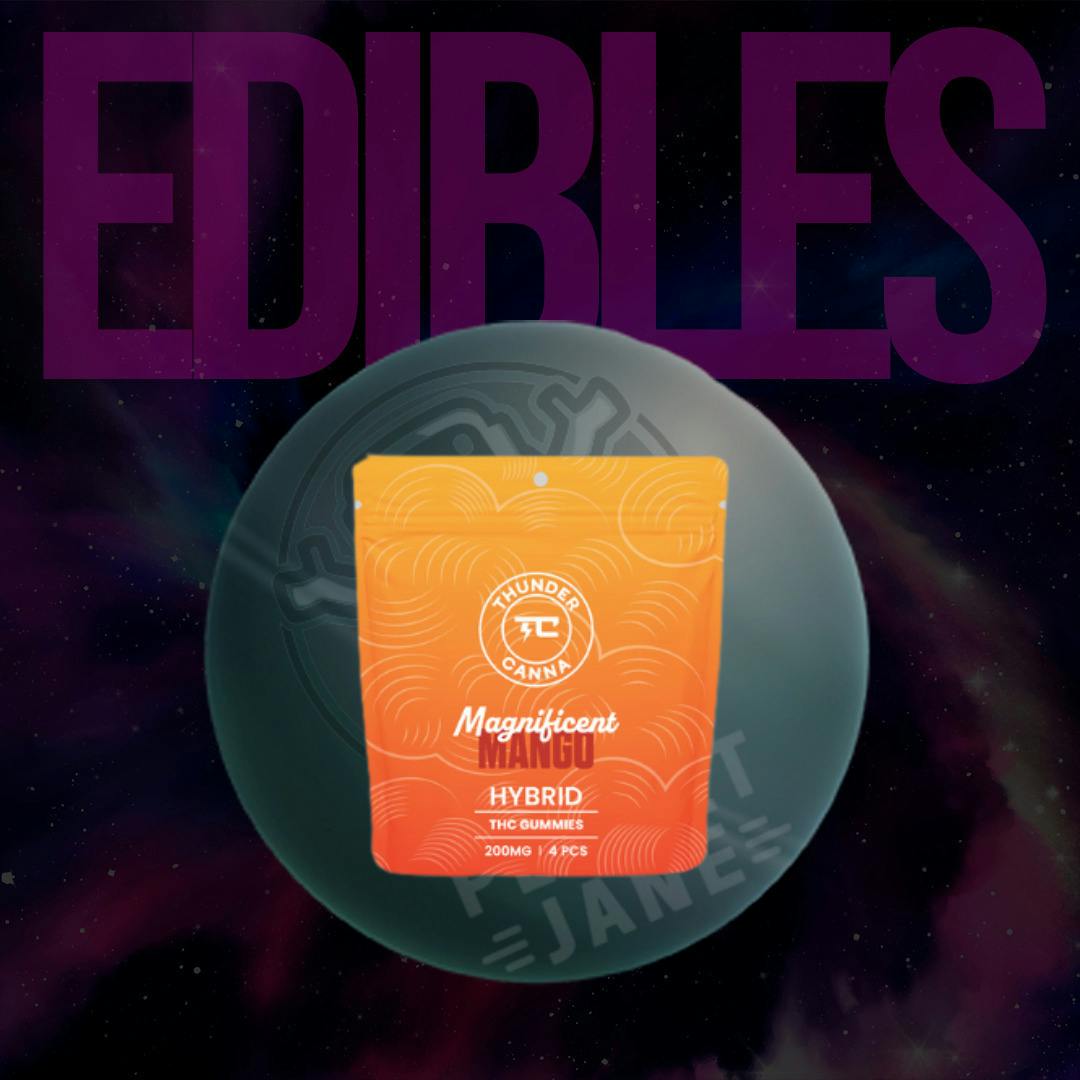 Mango Hybrid Gummies | Gummies | 4pk | 50mg/ea