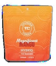 Mango Gummies | Gummies | 4pk | 50mg/ea
