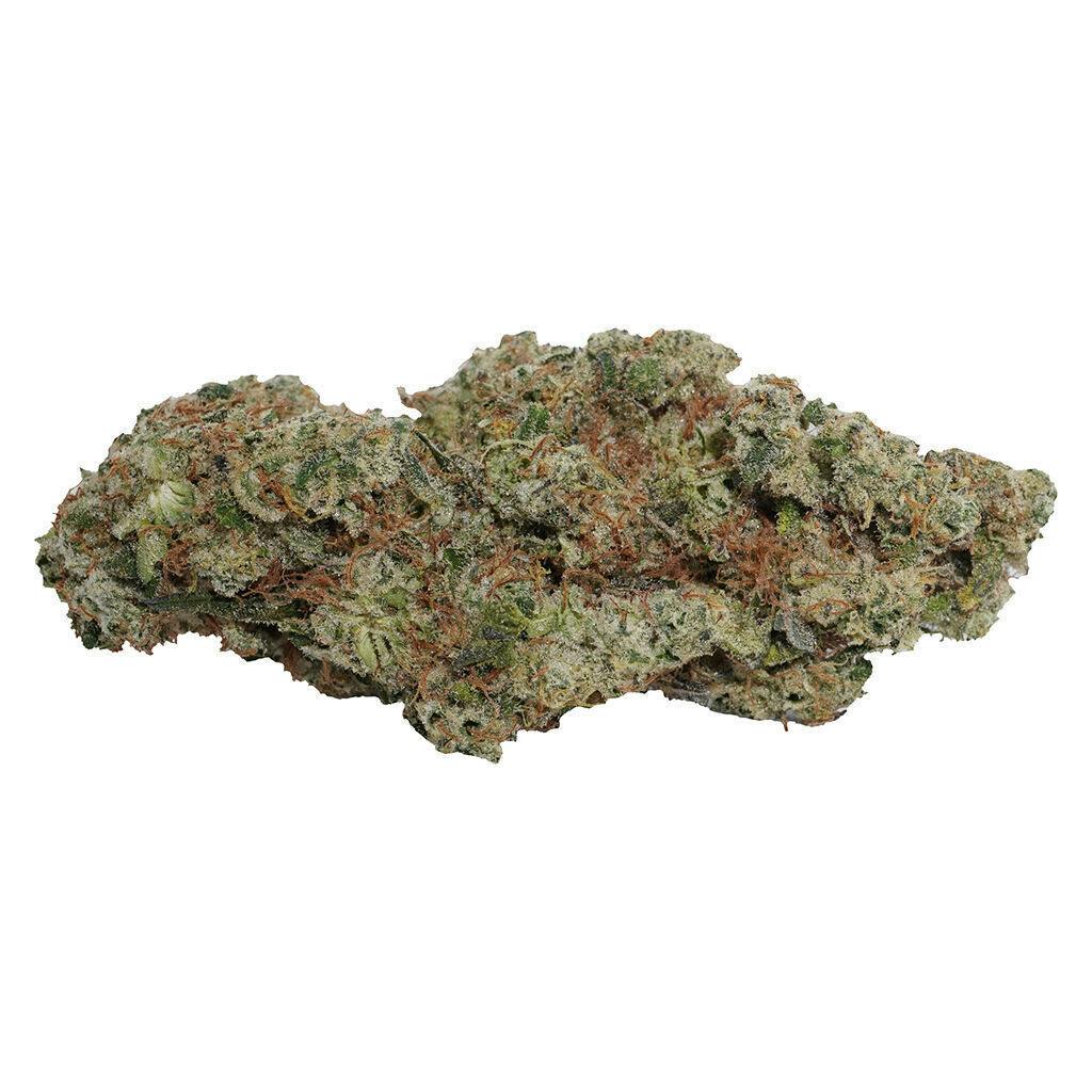 OG Dutch Dragon | 7g