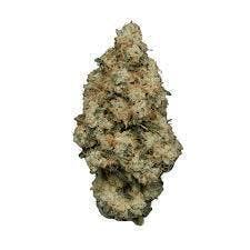 Purple Starfruit | Smalls | 1g