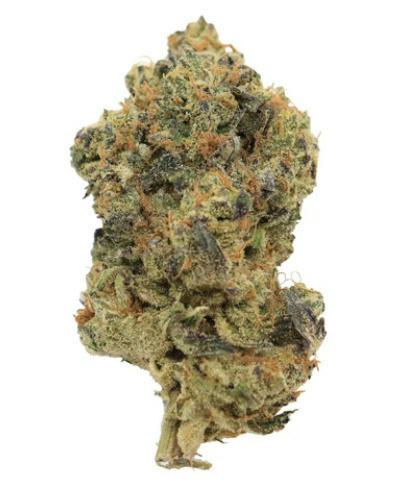 Animal Mints | 3.5g