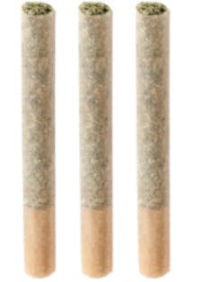 Chatterbox | Joints | 0.5g | 3pk