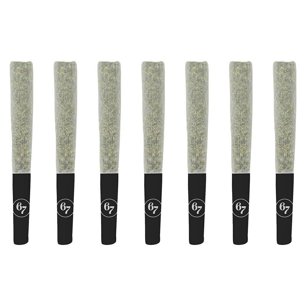 Fishy Fingers | Minis | 0.5g | 7pk