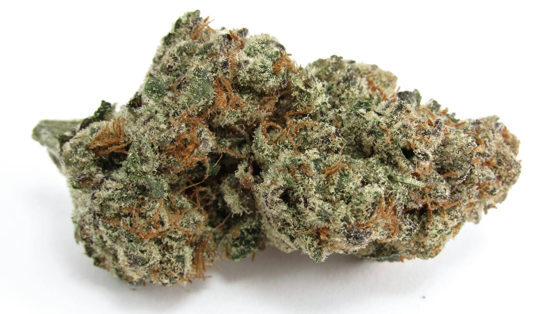 Horchata | Buds | 28g