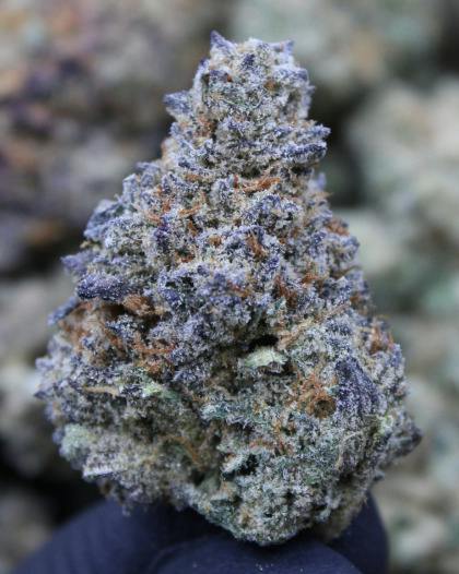 Frosted Beans | Infused Flower | 1g