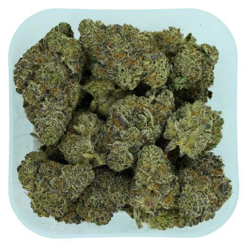 Chile Azul | Big Buds | 28g