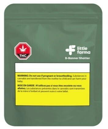 Bruce Banner | Solvent | Shatter | 1g