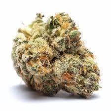 Mocha Runtz | 1g