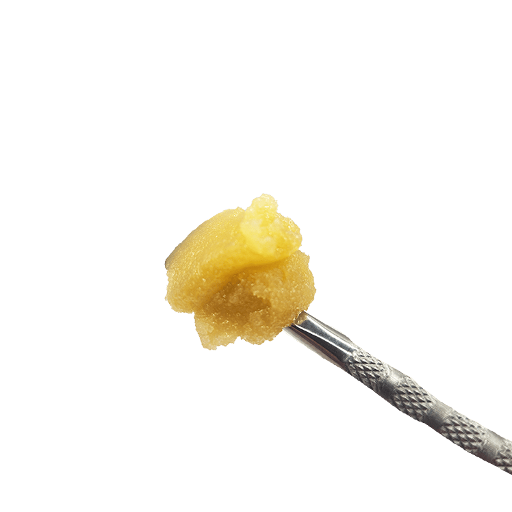 Poddy Mouth | Solvent | 1g