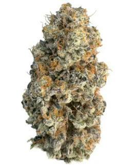 red velvet r | Big Buds | 7g