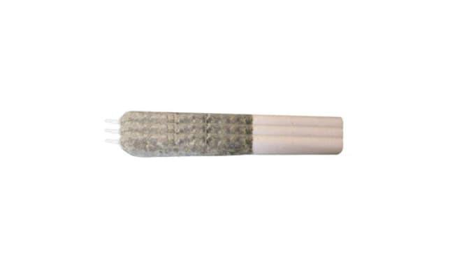 Sherbo x Animal Style | Infused Joints | 0.7g | 3pk
