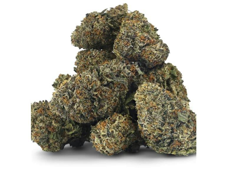 Korzie Kush | Big Buds | 7g