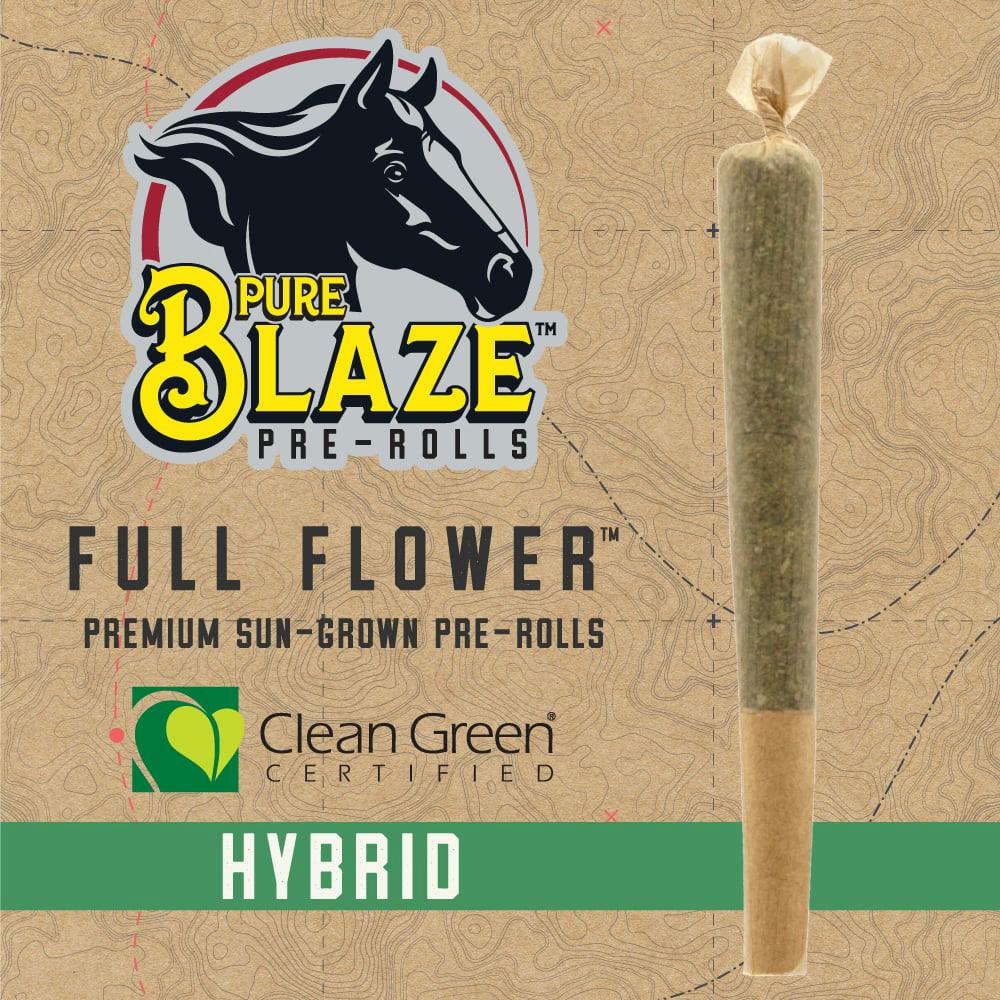 Apple Fritter | Joints | 1g