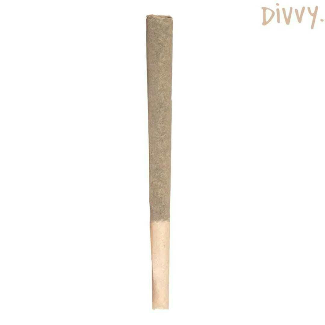 Joints | 1g