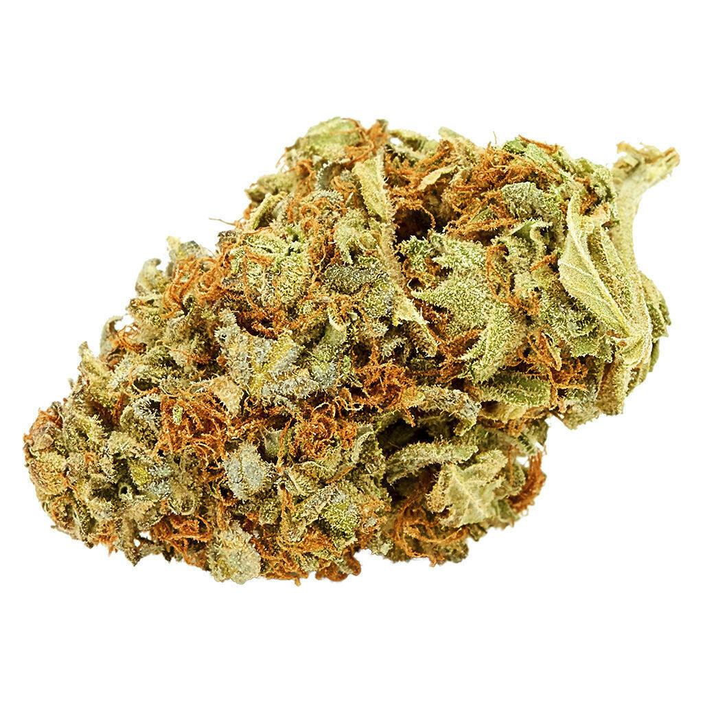 Pink Gas | 14g