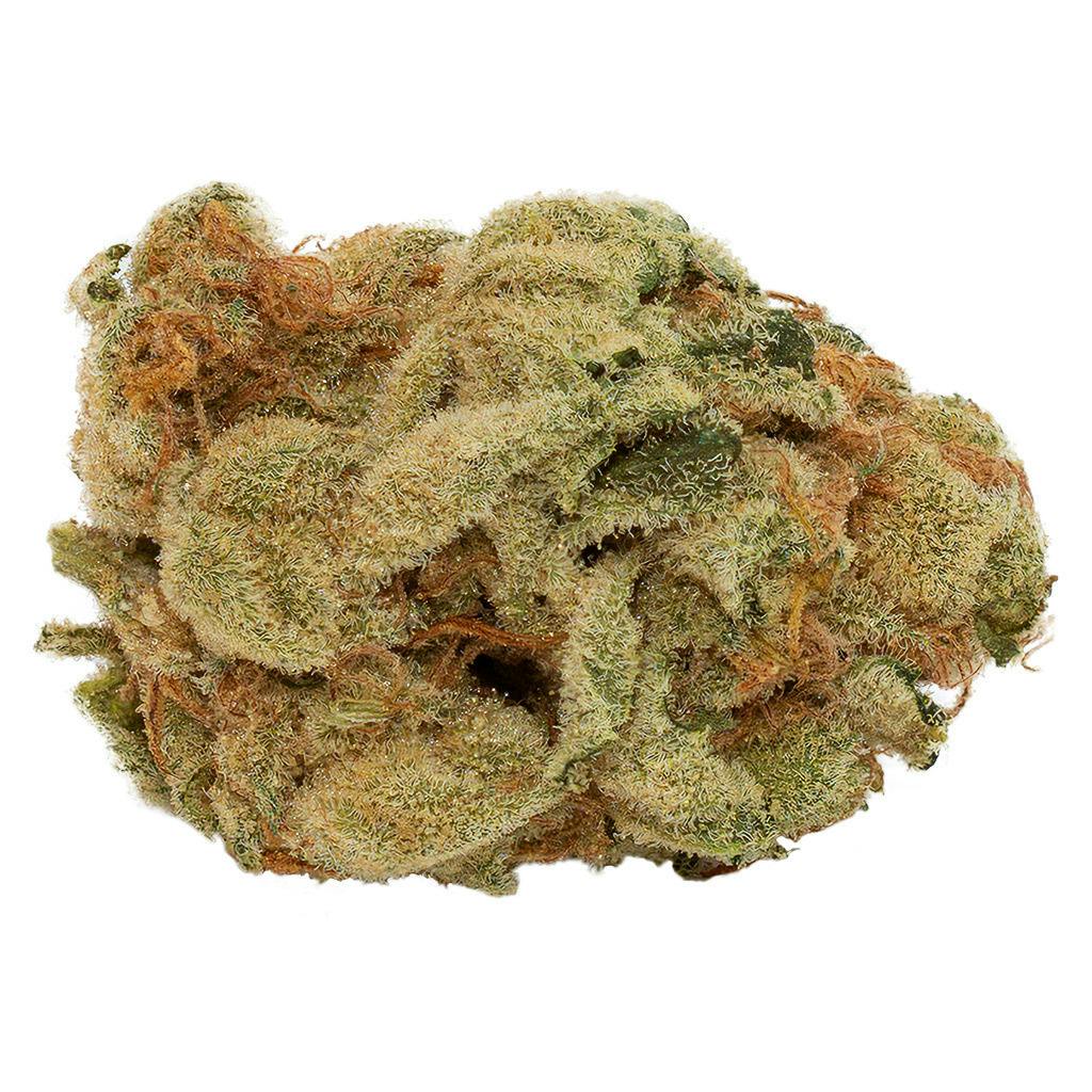 Frosted Fruit Cake | Infused Flower | 14g