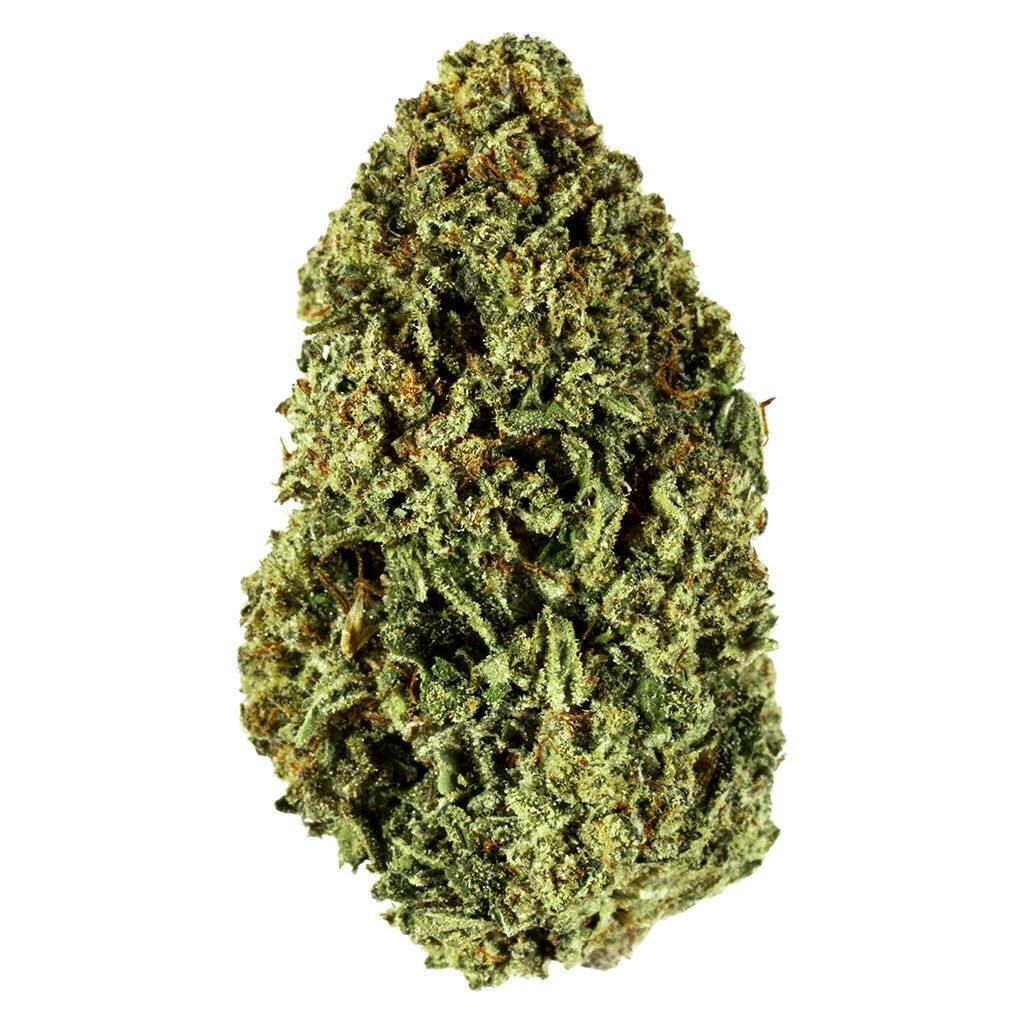 Blueberry | 28g