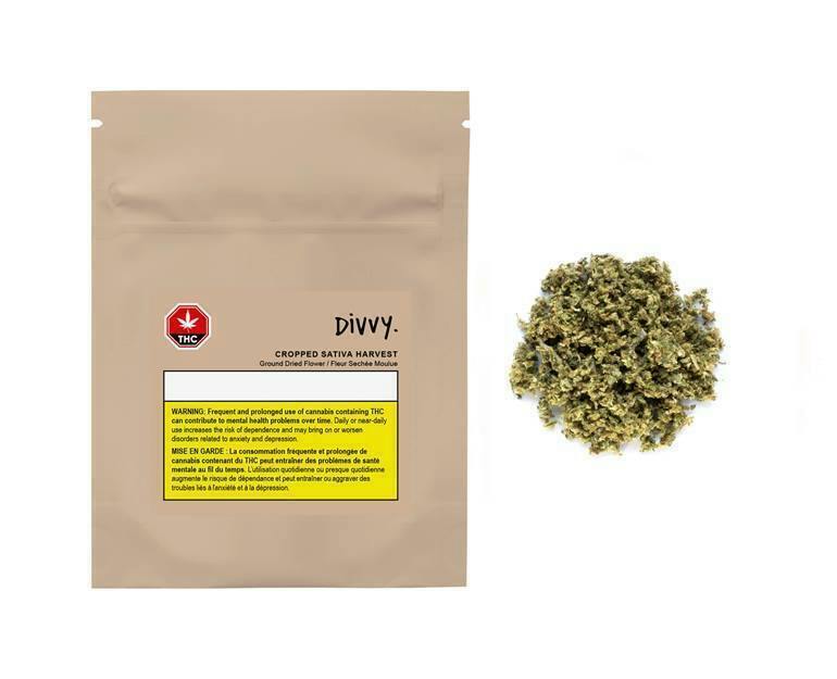 Ground | 10g