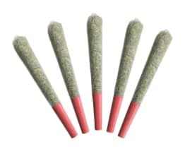 Açai Berry Gelato | Joints | 0.5g | 5pk
