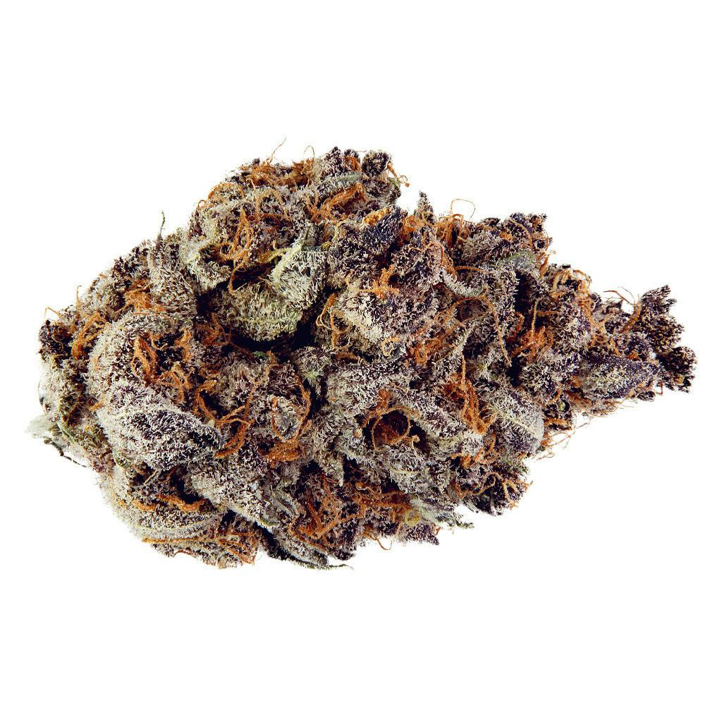 Terple | Big Buds | 3.5g