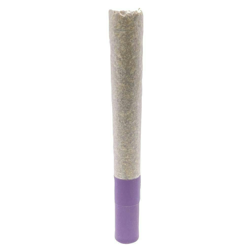 G.S.P | Infused Minis | 0.5g | 3pk