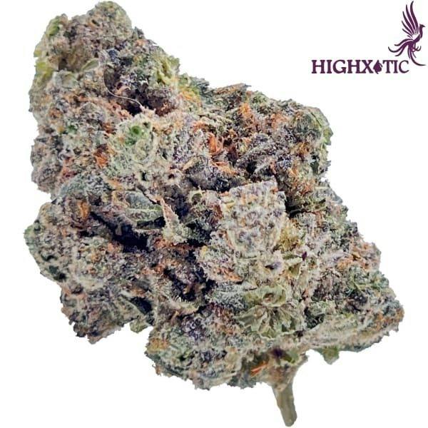 Royal Dive#4: Goofiez | Big Buds | 3.5g