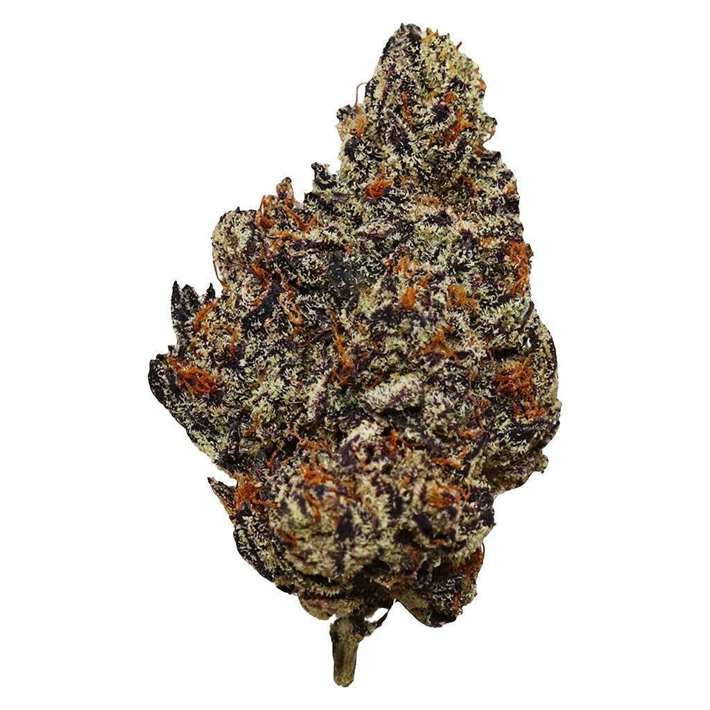 King Kong | 7g