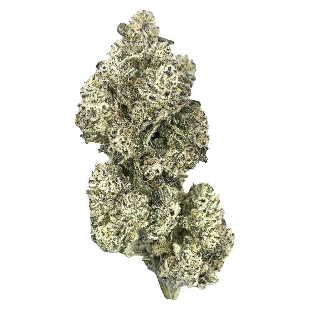 Purple Zombie | Big Buds | 3.5g