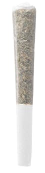 G.S.P (Gas S'il vous Plait) | Infused Joints | 1g