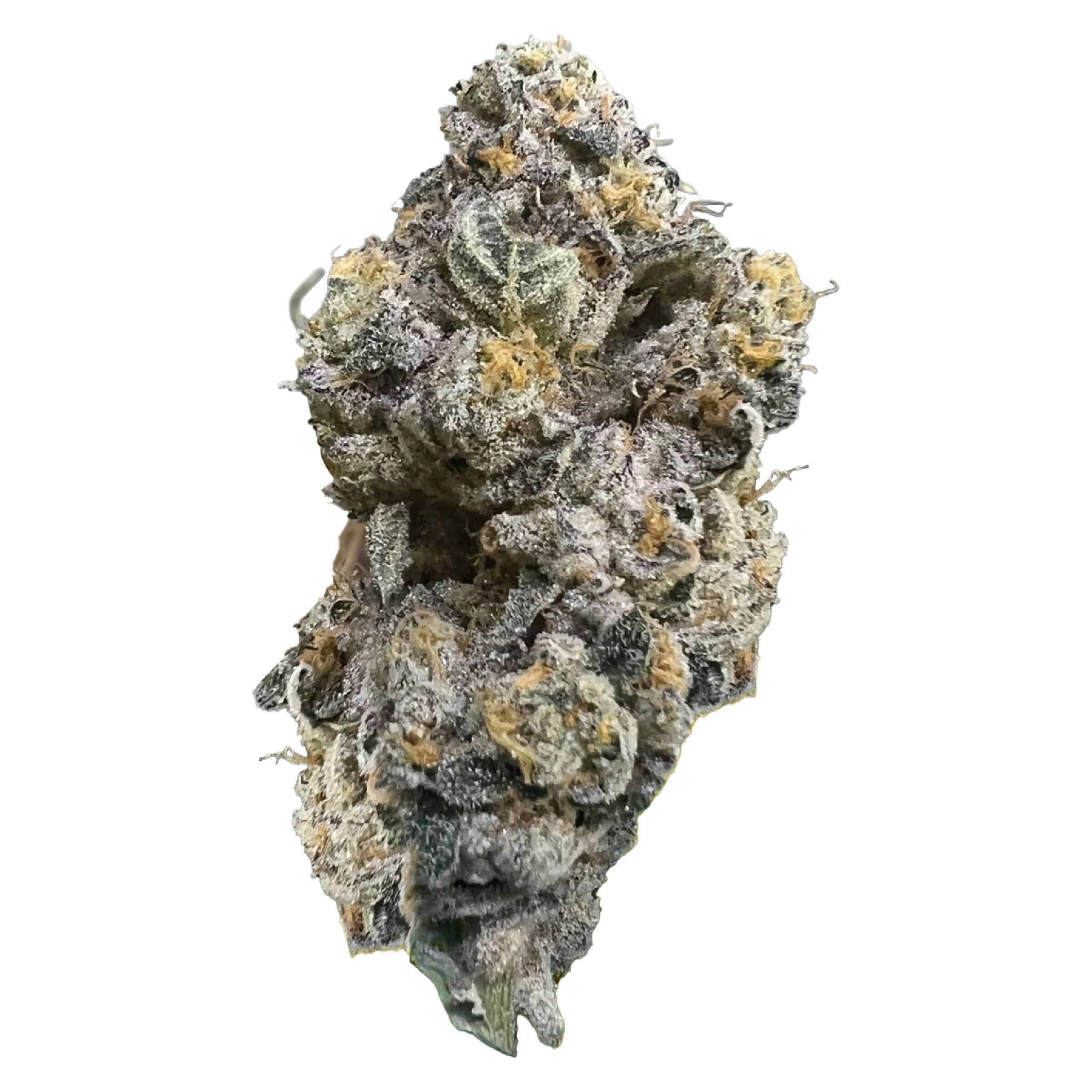 Hindu Glue | 3.5g