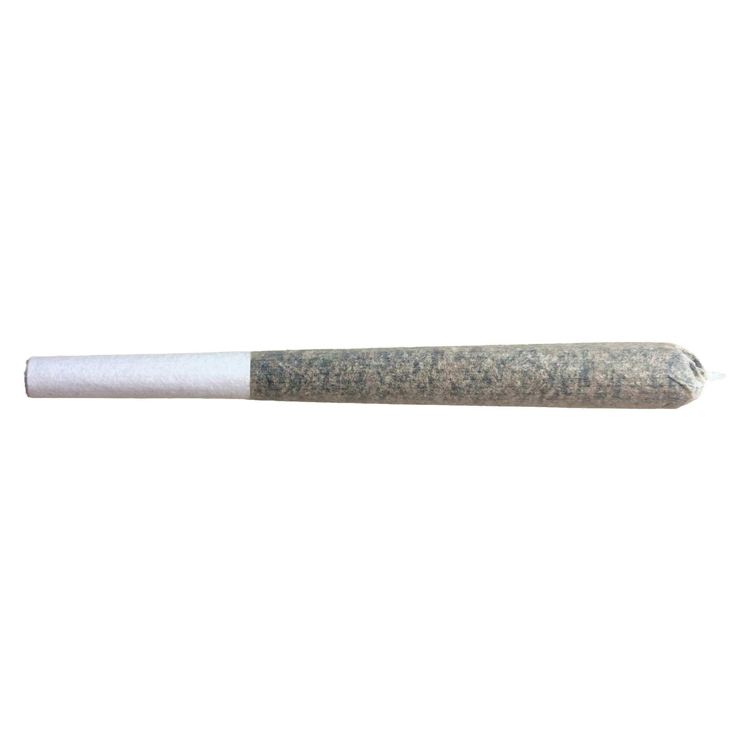 Glazed Apricot Gelato | Minis | 0.5g | 5pk