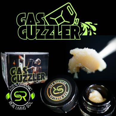 Gas Guzzler | Solventless | Rosin | 1g