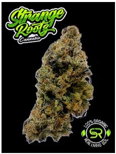 Cherrylicious Big Buds