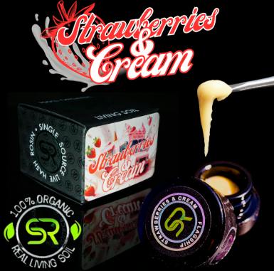 strawberries & cream | Solventless | Rosin | 1g