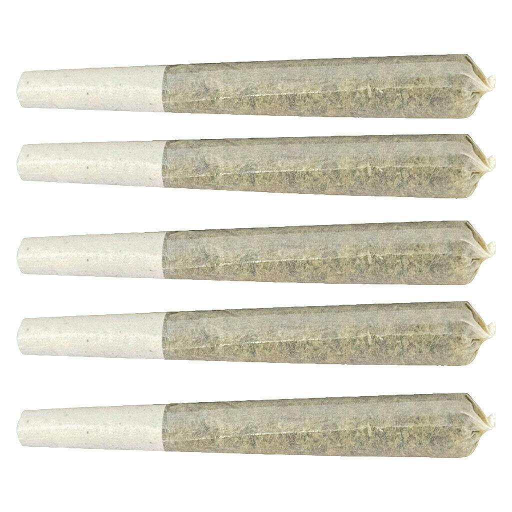 Glazed Apricot Gelato | Joints | 1g | 5pk