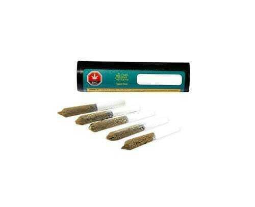 Tropical Storm | Infused Minis | 0.5g | 5pk