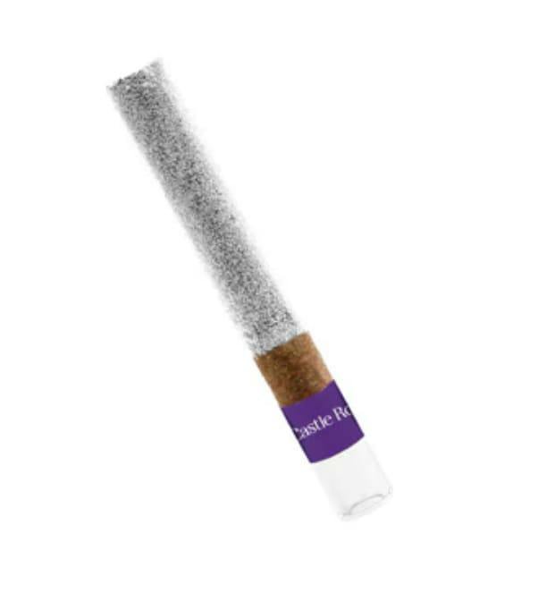 Glazed Apricot Gelato | Infused Blunts | 4g