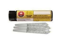 Lemon Cherry Gelato | Infused Joints | 0.5g | 3pk