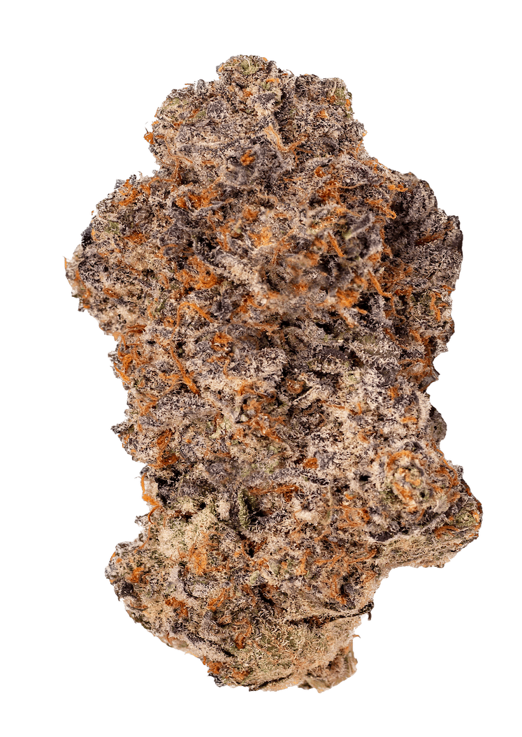 Vanilla Cream | 7g