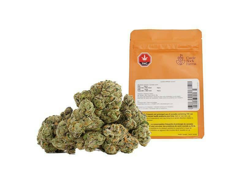 Glazed Apricot Gelato | 28g